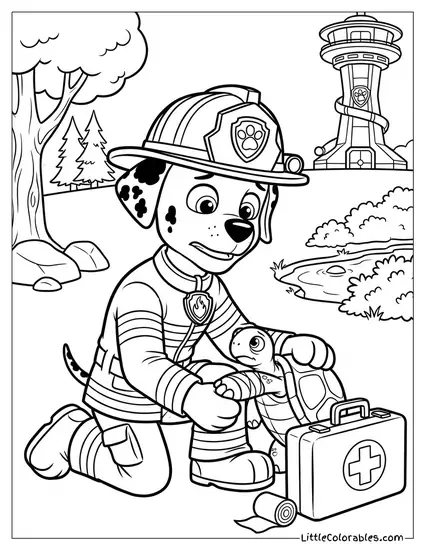 Marshall Checking a Hurt Turtle PAW Patrol Coloring Page