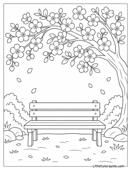 A Cherry Blossom Branch Arching Over a Plain Wooden Bench Coloring Page