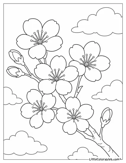 A Cherry Blossom Branch with Five Open Blooms Against Empty Sky Coloring Page