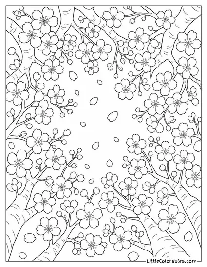 A Cherry Blossom Canopy Viewed from Directly Below Looking Up Coloring Page