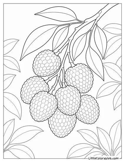 A Cluster of Lychees on a Branch with Leaves Coloring Page