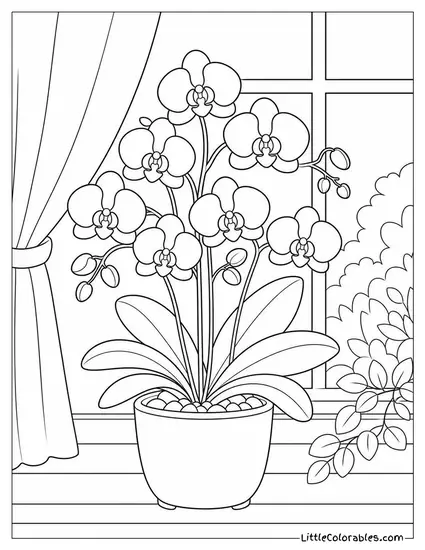 A Cluster of Miniature Orchids Growing from a Single Small Pot Coloring Page