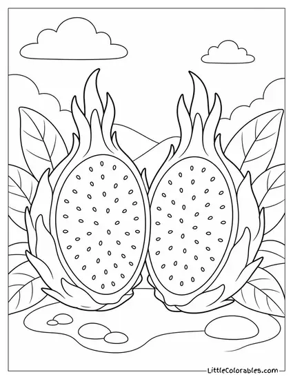 A Dragon Fruit Cut in Half Showing Its Pattern Coloring Page