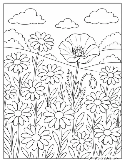 A Field of Daisies with a Single Red Poppy Among Them Coloring Page