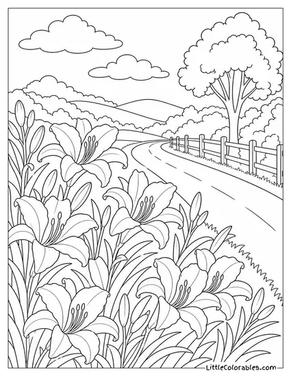A Field of Orange Day Lilies Along a Country Roadside Coloring Page