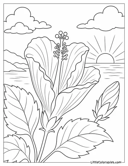 A Hibiscus Bloom at Dawn with Petals Still Unfurling Coloring Page