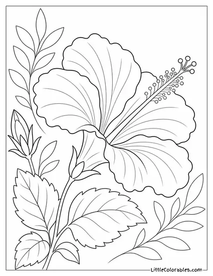 A Hibiscus Bloom Viewed from the Side Showing Petal Overlap Coloring Page