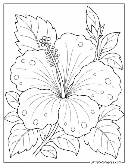 A Hibiscus Bloom with Water Droplets on its Wide Petals Coloring Page