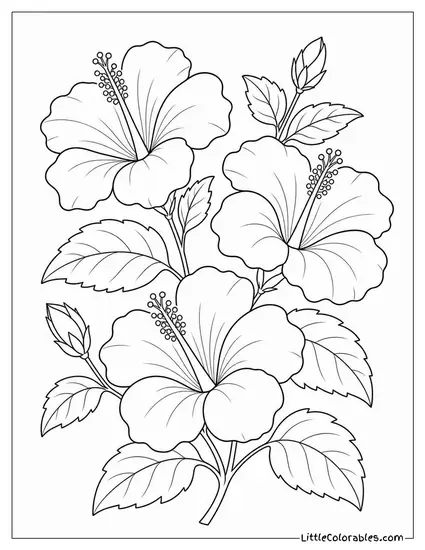 A Hibiscus Branch with Three Open Blooms and Dark Leaves Coloring Page