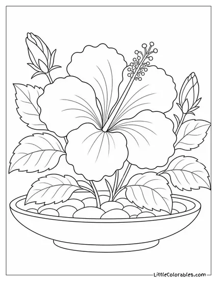 A Hibiscus Flower in a Wide Shallow Ceramic Dish Coloring Page