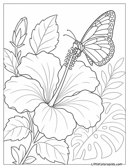 A Hibiscus Flower with a Monarch Butterfly on its Stamen Coloring Page