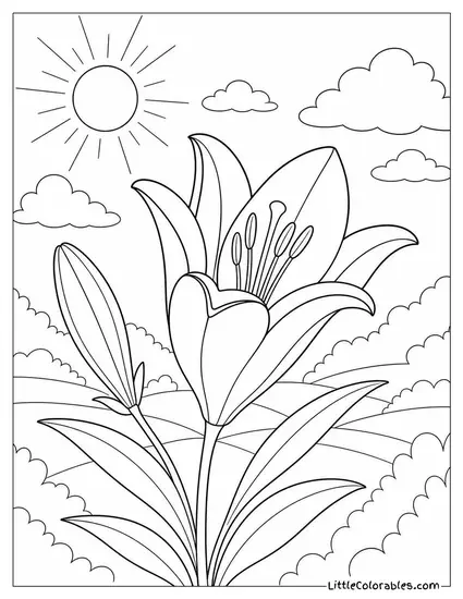 A Lily Bud Unfurling in Early Morning Light Coloring Page