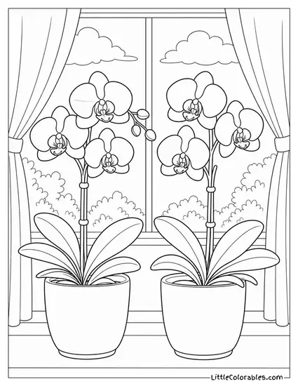 A Pair of Phalaenopsis Orchids in Matching White Ceramic Pots Coloring Page