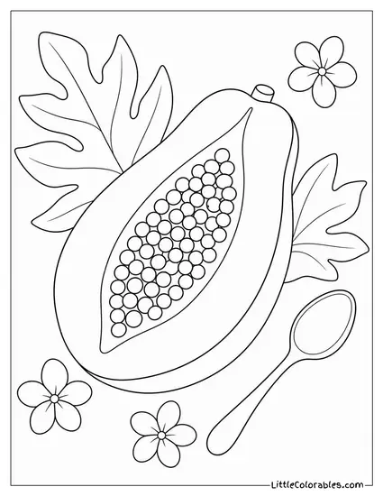A Papaya Halved with Seeds Visible and a Spoon Beside It Coloring Page