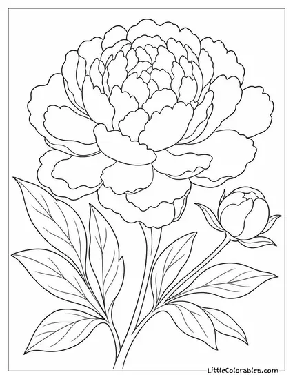 A Peony Pressed Flat as a Lush Botanical Print Coloring Page