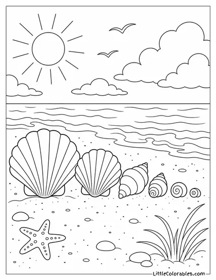 A Row of Seashells Arranged by Size on Dry Sand Coloring Page