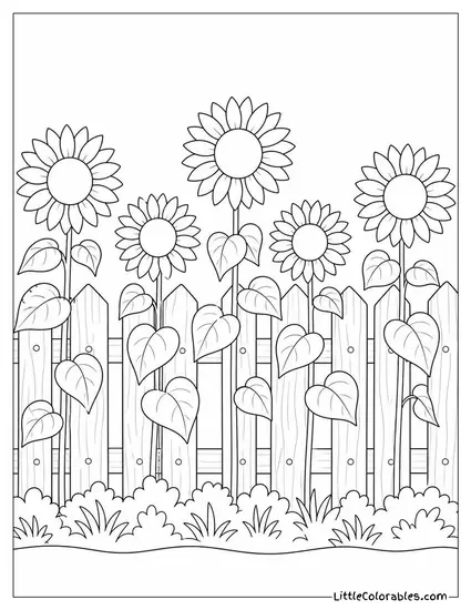 A Row of Sunflowers Growing Along a Wooden Fence Coloring Page