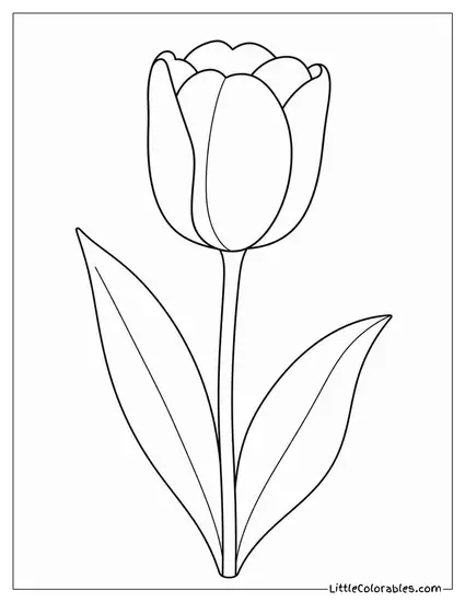 A Single Black Tulip on a Plain Pale Surface Coloring Page