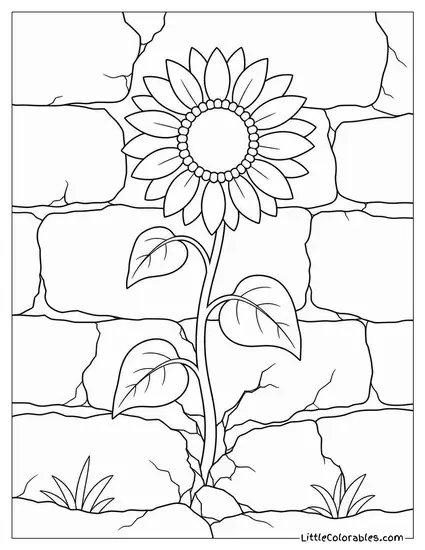 A Sunflower Growing Through a Crack in a Stone Wall Coloring Page