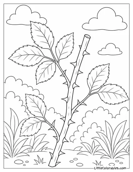 A Thorny Rose Stem with No Bloom Coloring Page