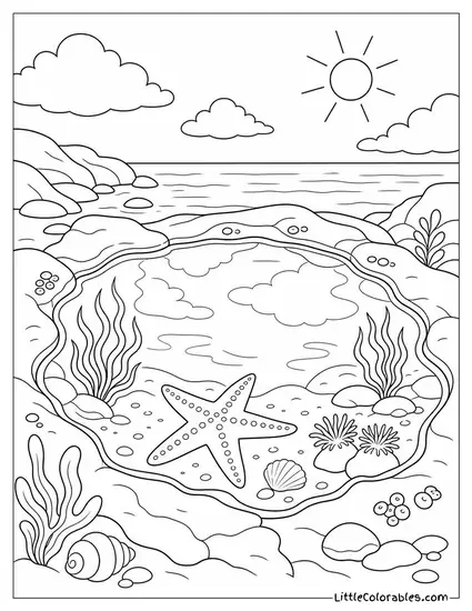 A Tide Pool Reflecting the Sky With One Starfish Inside Coloring Page