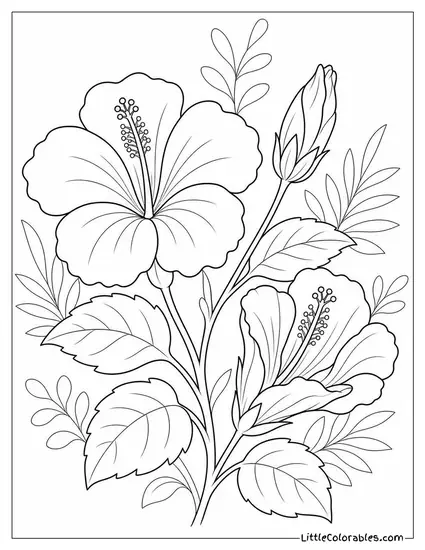 A Trio of Hibiscus Blooms in Three Different Stages Coloring Page