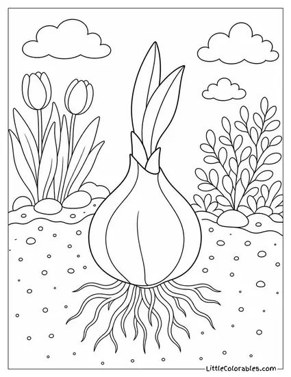 A Tulip Bulb with Roots and a Sprouting Green Shoot Coloring Page