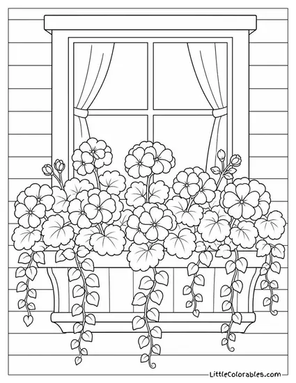 A Window Box Overflowing with Geraniums and Trailing Vines Coloring Page