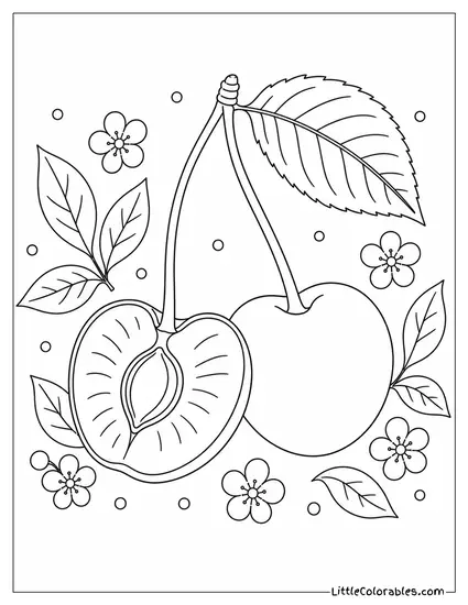 Cherry Slice Showing the Inside of the Fruit Clearly Coloring Page