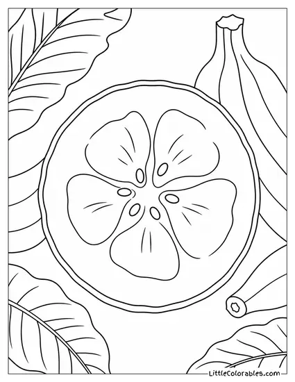 Clean Cross Section of a Banana Slice Showing the Small Seeds Coloring Page