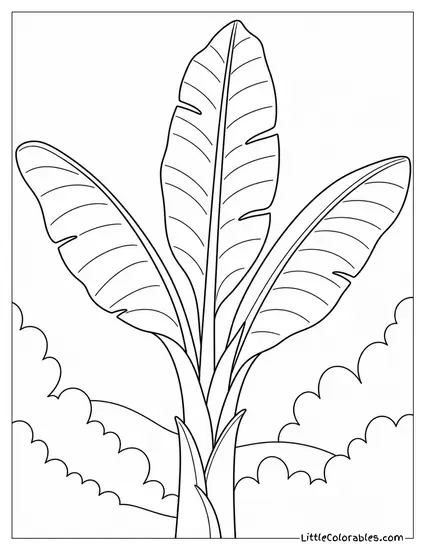 Close Up of a Single Banana Stem with a Clean Edge Coloring Page