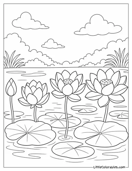 Row of Lotus Flowers Blooming Across a Quiet Pond Coloring Page
