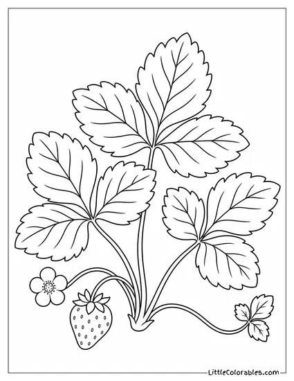 Simple Line Drawing of a Small Cluster of Strawberry Plant Leaves Coloring Page