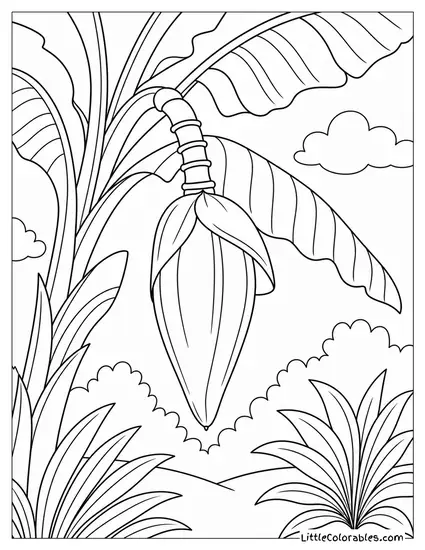 Simple Outline of a Banana Blossom Before It Opens Coloring Page