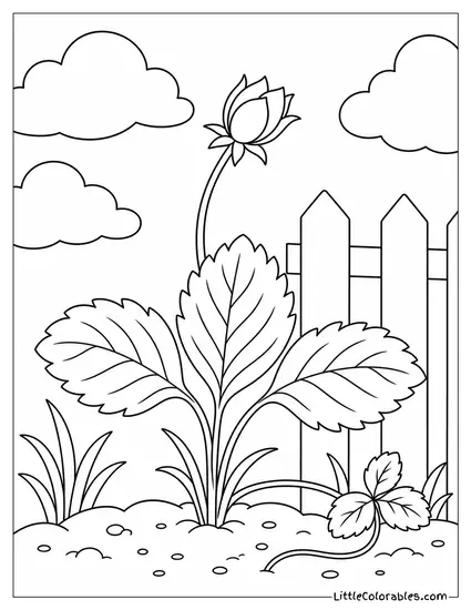 Simple Outline of a Strawberry Plant Flower Bud Before Bloom Coloring Page