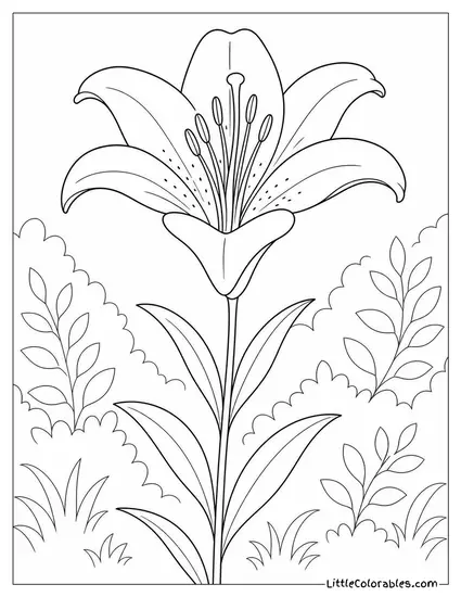 Single Asiatic Lily with Upward Facing Blooms on a Tall Stem Coloring Page