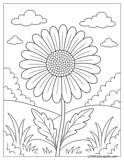 Single Daisy Bloom with Every Petal Counting Detail Coloring Page
