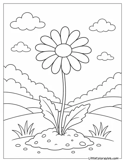 Single Daisy Growing from a Small Mound of Soil Coloring Page