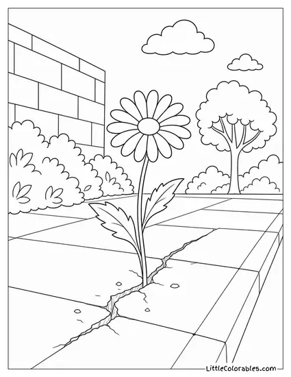 Single Daisy Growing Through a Sidewalk Crack Coloring Page