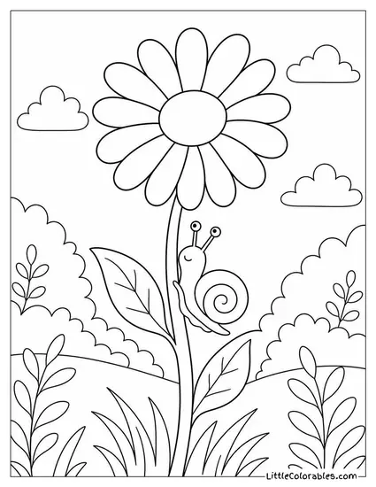Single Daisy with a Snail Climbing its Stem Coloring Page