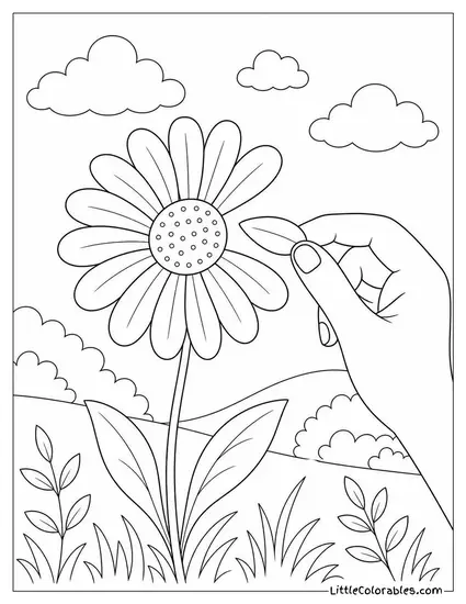 Single Daisy with One Petal Being Plucked Coloring Page