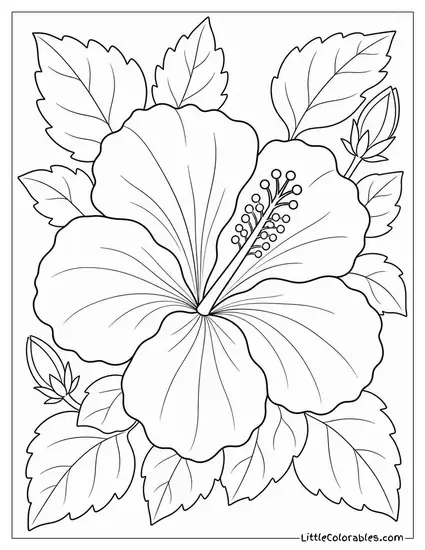 Single Hibiscus Bloom Viewed from Directly Above Coloring Page