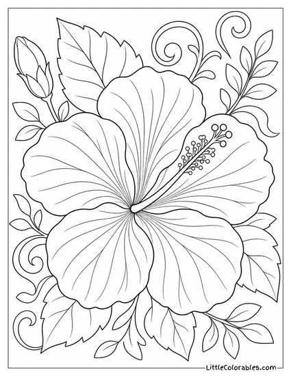 Single Hibiscus Bloom with Dramatic Veining on Each Petal Coloring Page