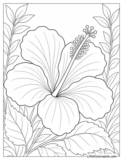 Single Hibiscus Bloom with Prominent Stamen Column Close Up Coloring Page