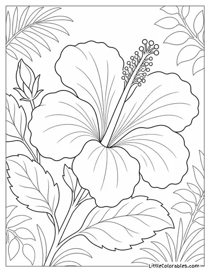 Single Hibiscus Flower with Stamens Detailed Coloring Page