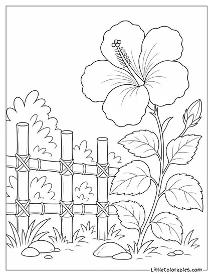 Single Hibiscus Growing Beside a Low Bamboo Fence Coloring Page