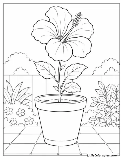 Single Hibiscus Growing from a Large Terracotta Pot Coloring Page