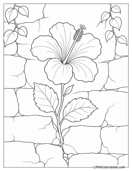 Single Hibiscus Growing in a Cracked Stone Wall Coloring Page