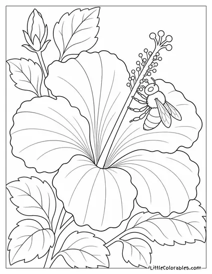 Single Hibiscus with a Bee Climbing its Stamen Column Coloring Page