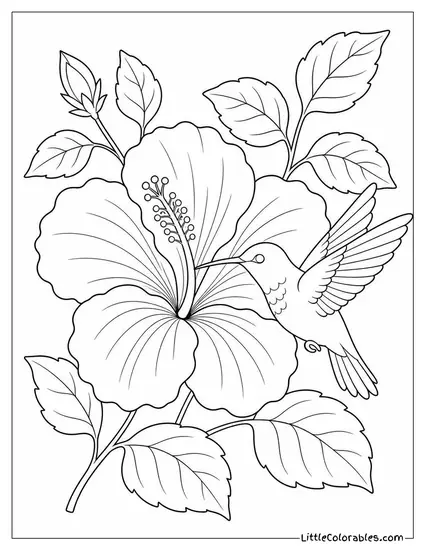 Single Hibiscus with a Hummingbird Hovering at its Center Coloring Page